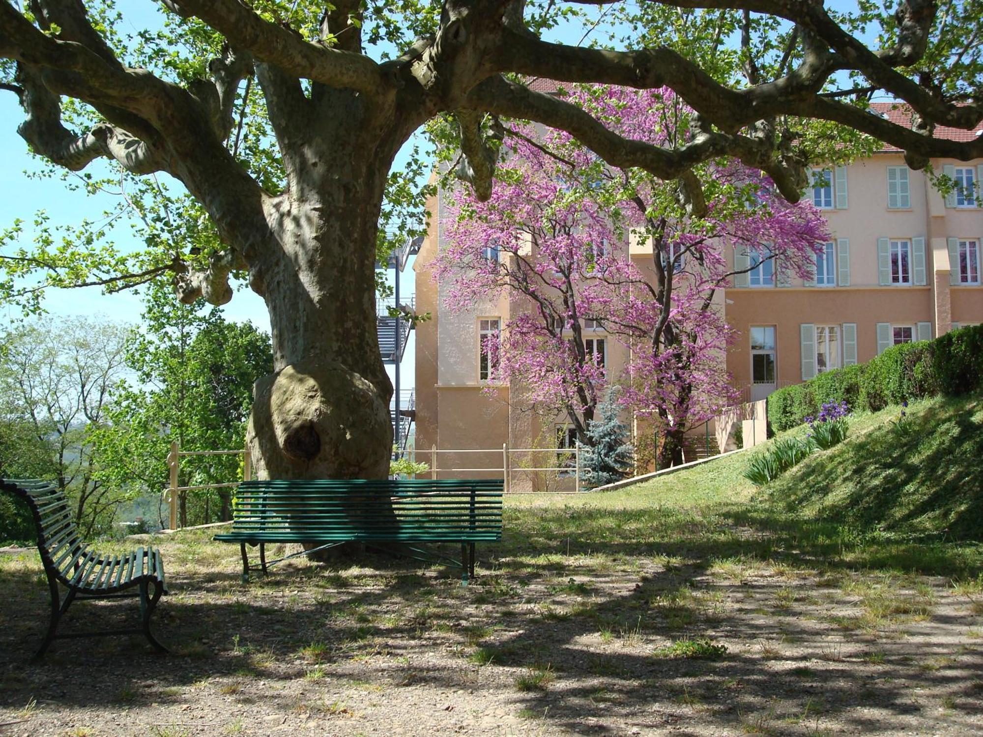 Domaine Lyon Saint Joseph Hotell Sainte-Foy-lès-Lyon Eksteriør bilde